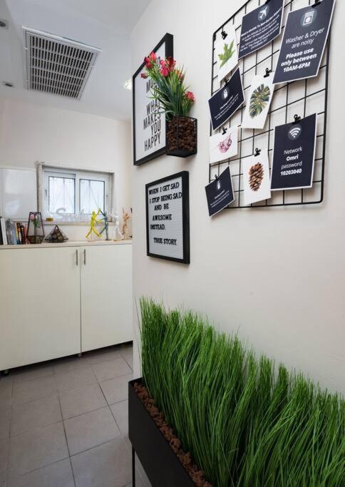 Apartament Eliyahu Salman #1 Jerozolima Zewnętrze zdjęcie